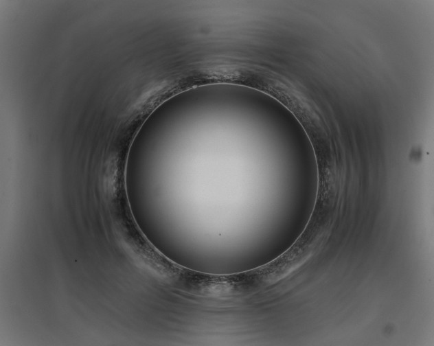 X0000094970600200712061430