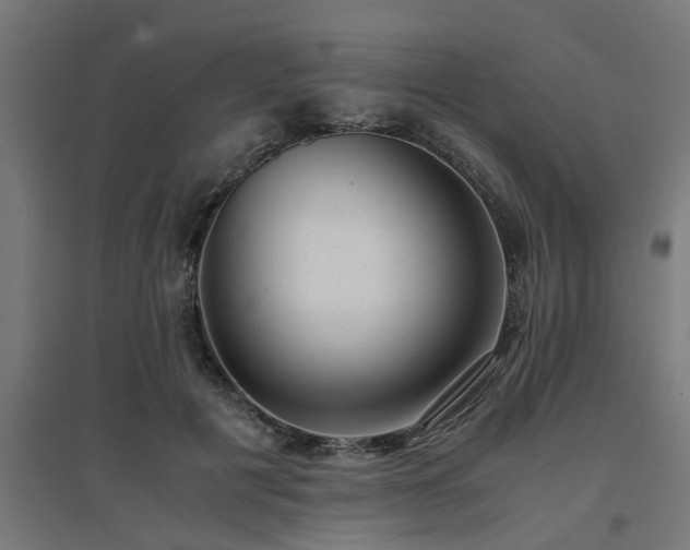 X0000094970601200712061430