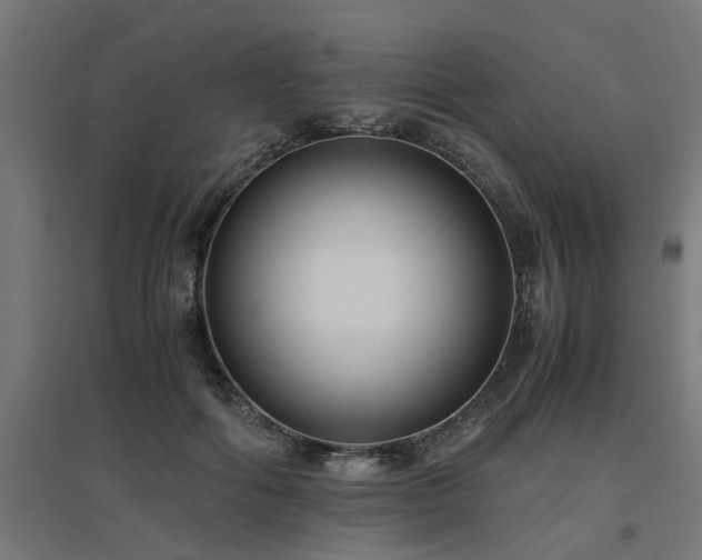 X0000094970602200712061429