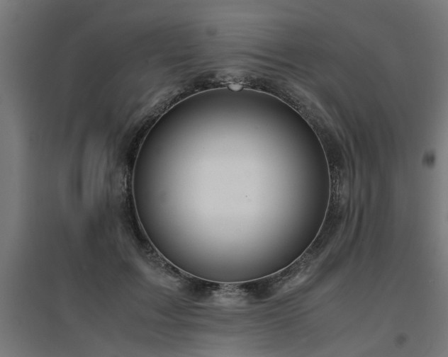 X0000094970603200712061429