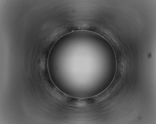 X0000094970604200712061429