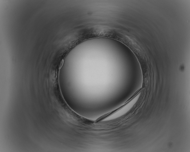 X0000094970605200712061429