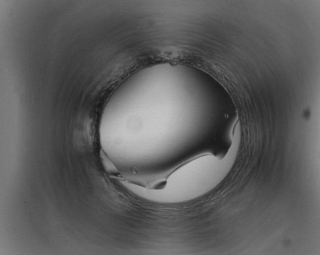 X0000094970606200712061429