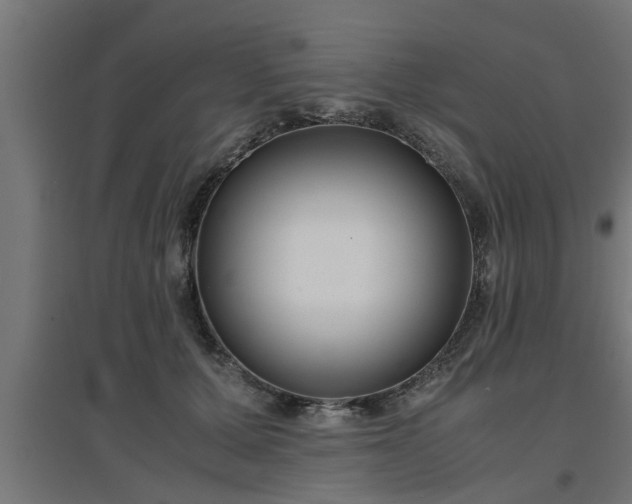 X0000094970607200712061429