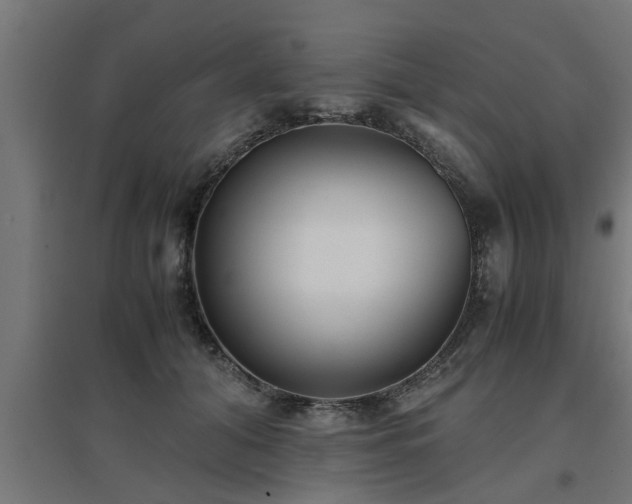 X0000094970608200712061429