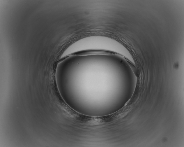 X0000094970609200712061429