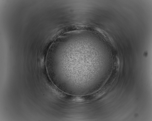 X0000094970610200712061429