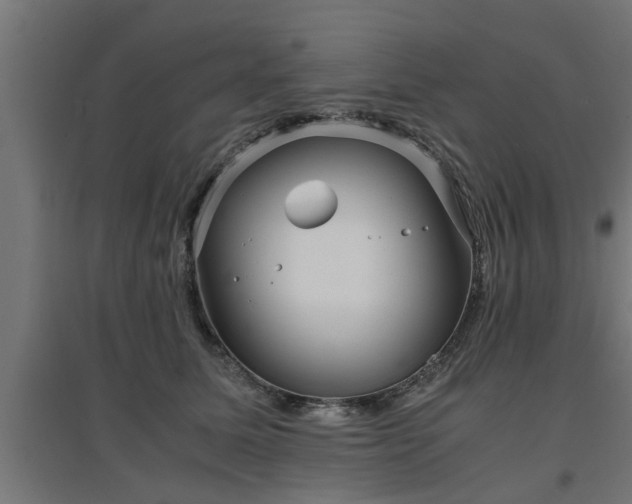 X0000094970611200712061429