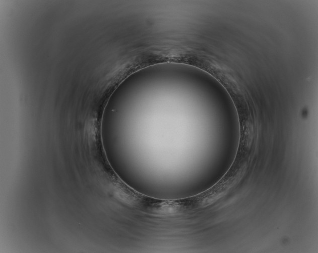 X0000094970612200712061429