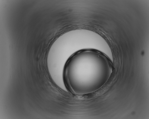 X0000094970613200712061429