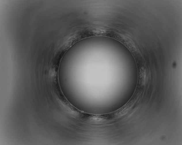 X0000094970614200712061429