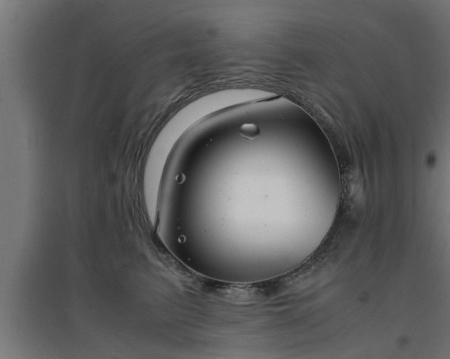 X0000094970615200712061429