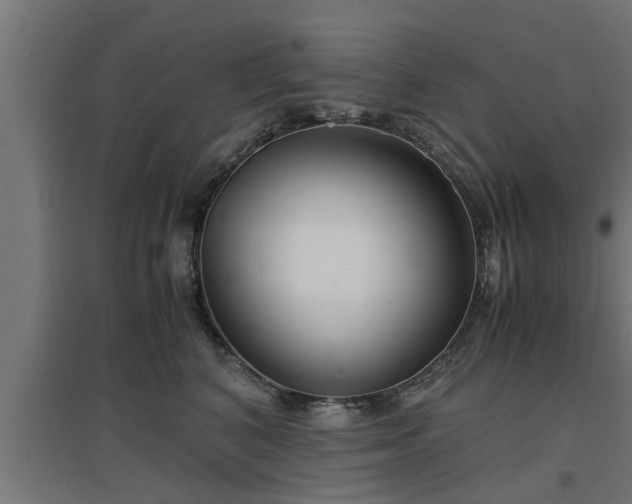 X0000094970616200712061429