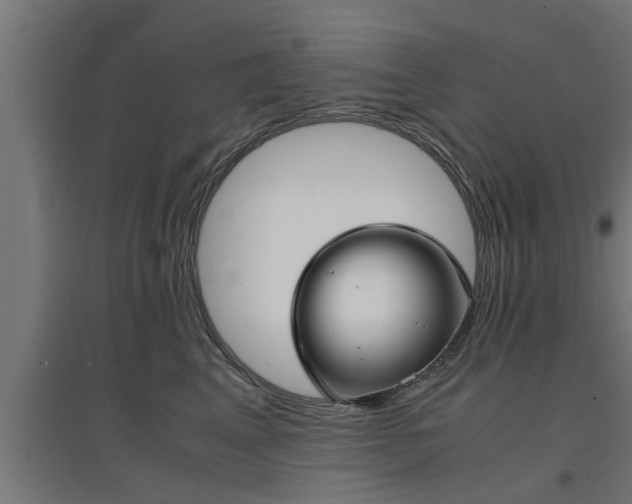 X0000094970617200712061429