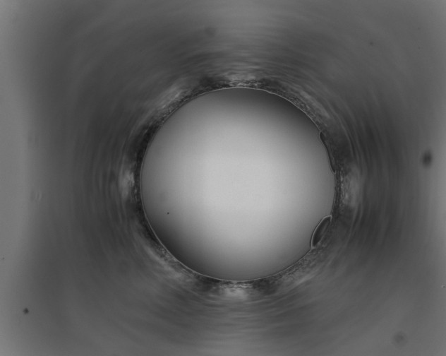 X0000094970618200712061429