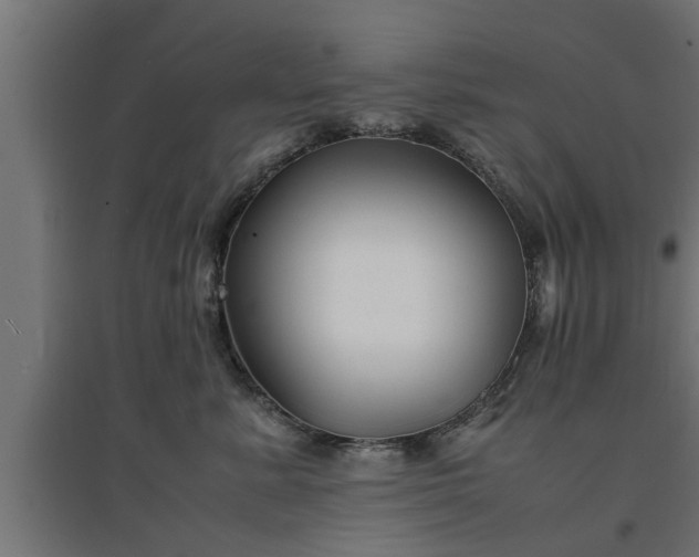 X0000094970619200712061429