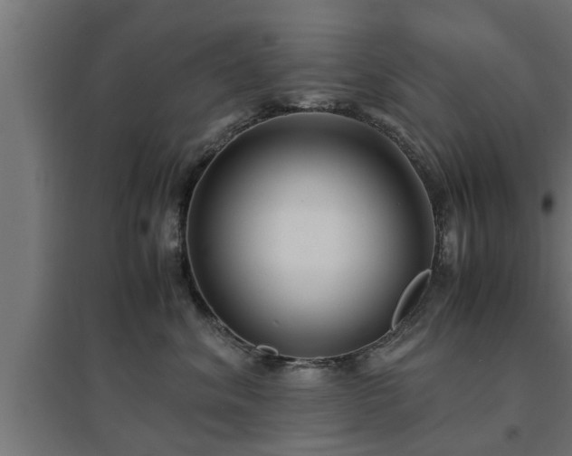 X0000094970620200712061429