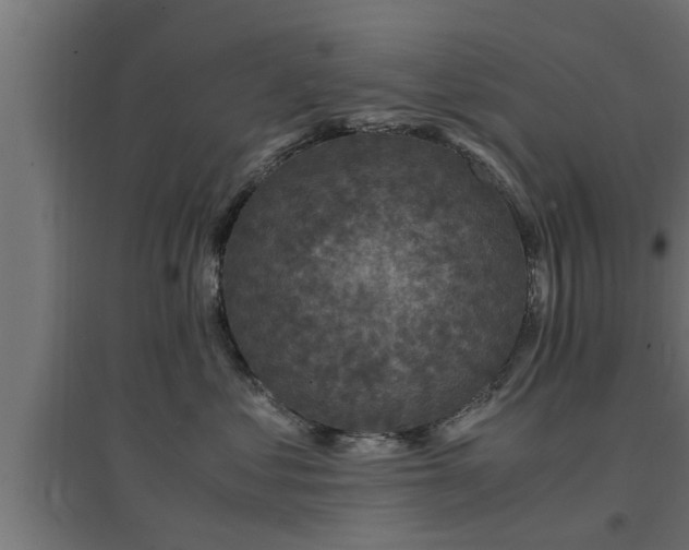 X0000094970621200712061429