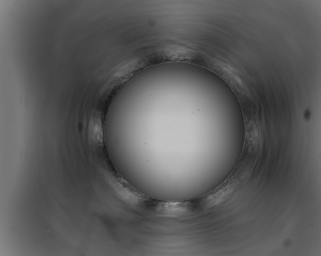 X0000094970622200712061429