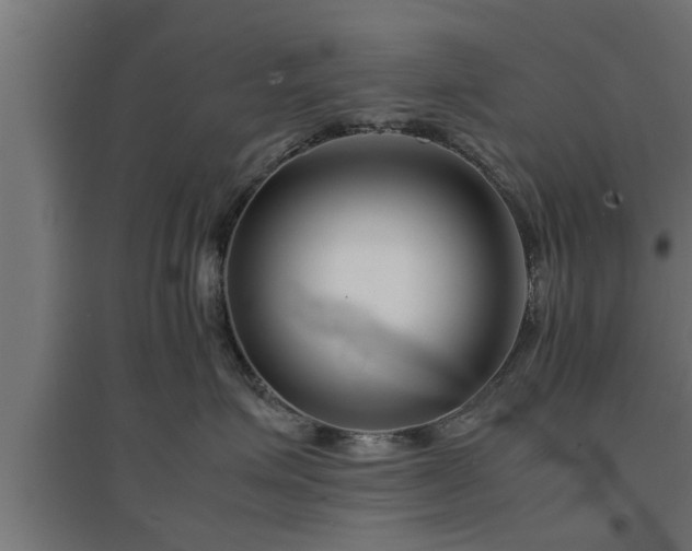 X0000094970623200712061429