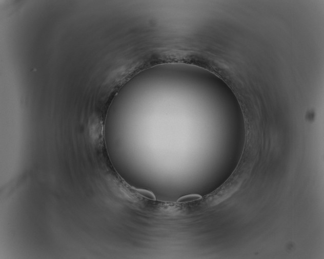 X0000094970624200712061429