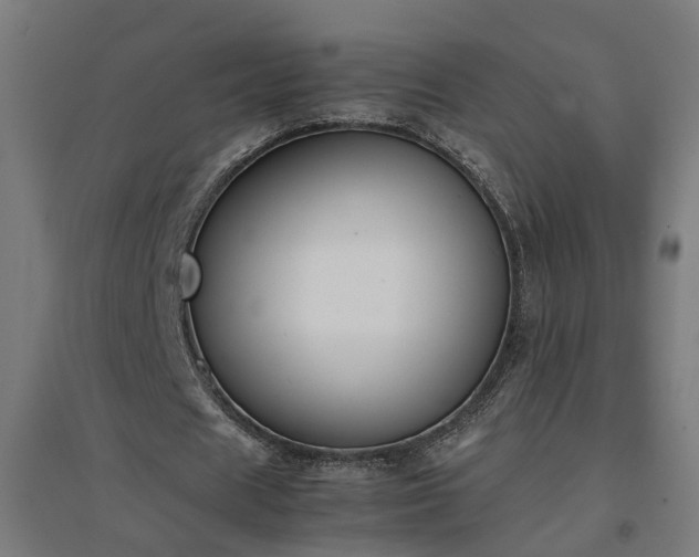 X0000094970625200712061428