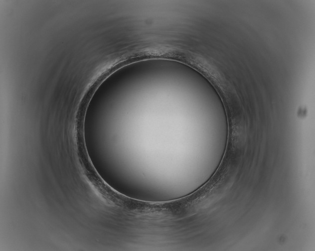 X0000094970626200712061429