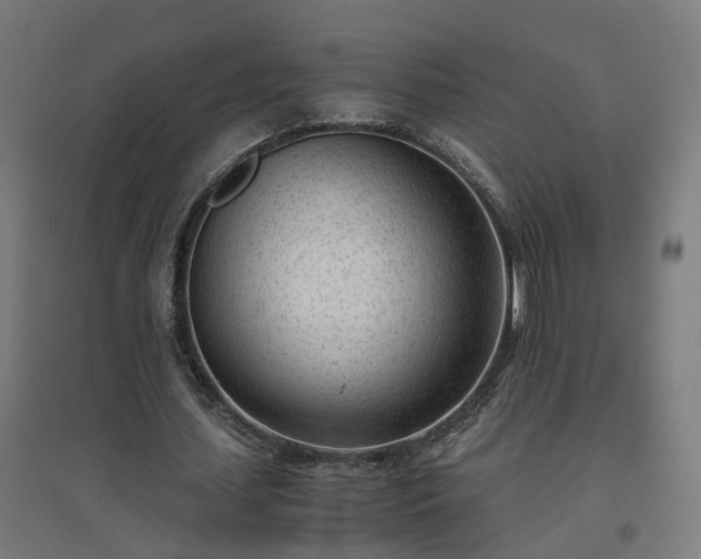 X0000094970627200712061429