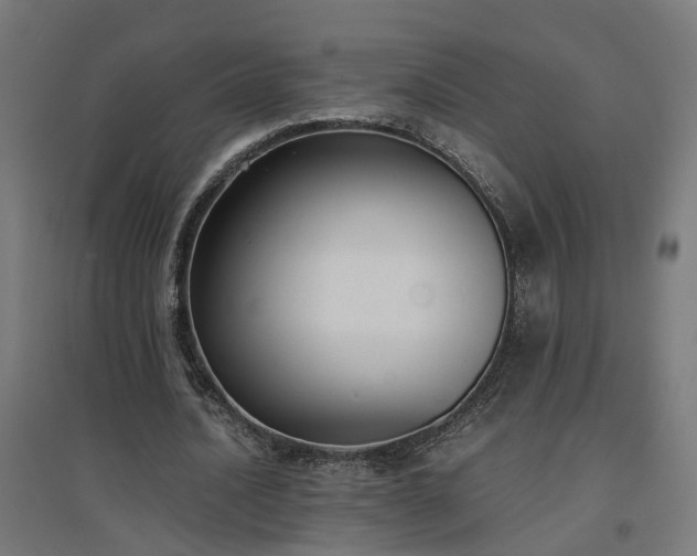 X0000094970628200712061429