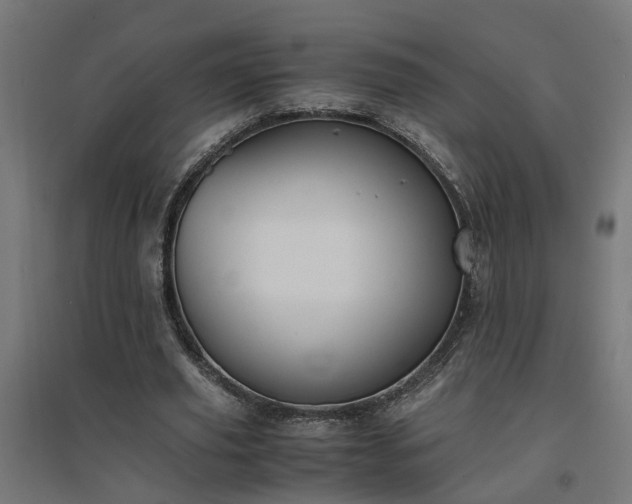 X0000094970629200712061429