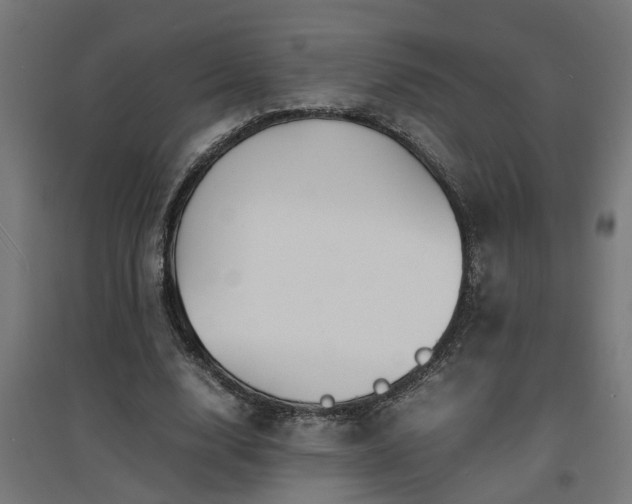 X0000094970632200712061429