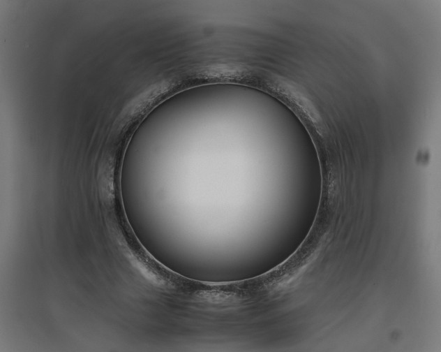 X0000094970633200712061429