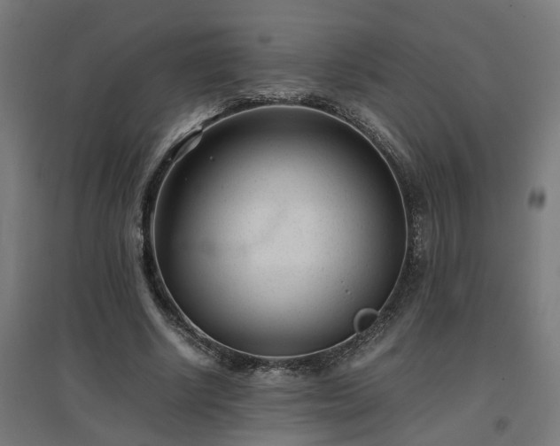 X0000094970634200712061429