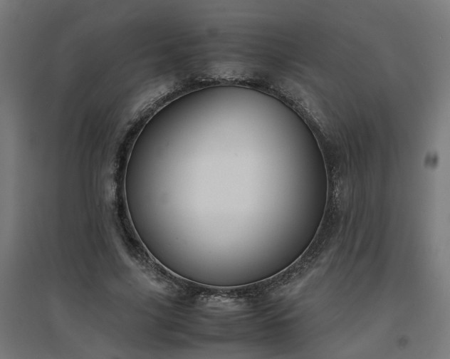 X0000094970635200712061429