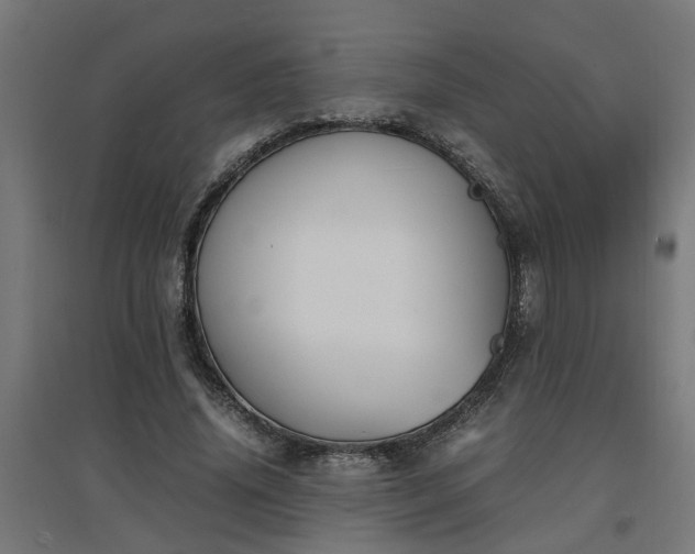 X0000094970636200712061429