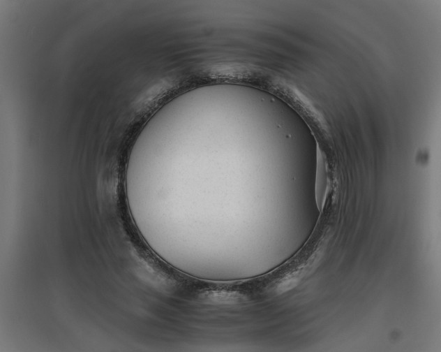 X0000094970637200712061429