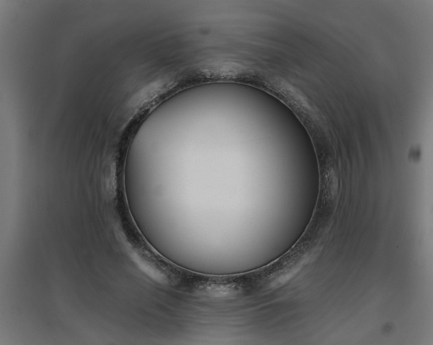 X0000094970638200712061429