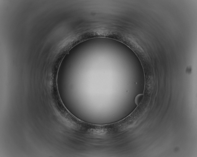 X0000094970639200712061429