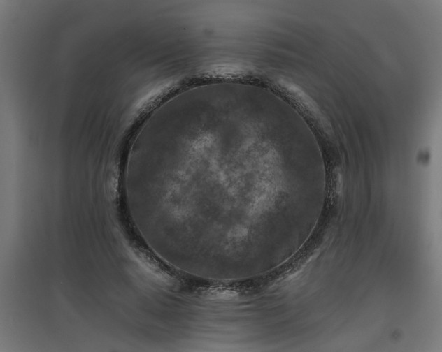 X0000094970640200712061429