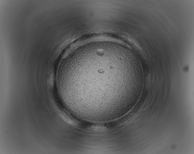 X0000094970644200712061429