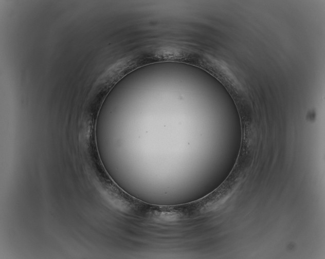 X0000094970645200712061429