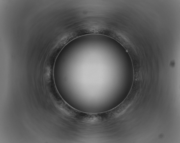 X0000094970646200712061429