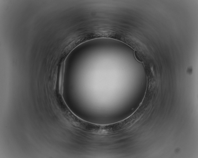 X0000094970647200712061429