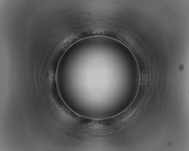 X0000094970648200712061429