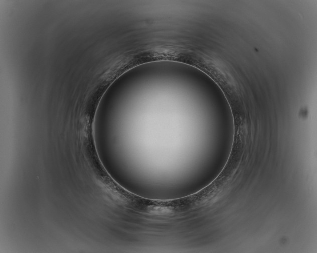 X0000094970649200712061429