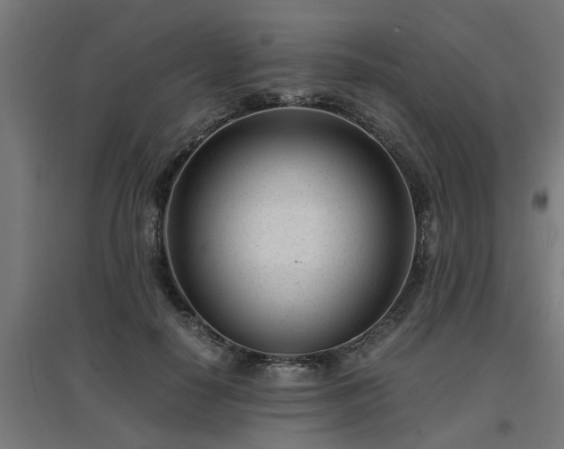 X0000094970650200712061429