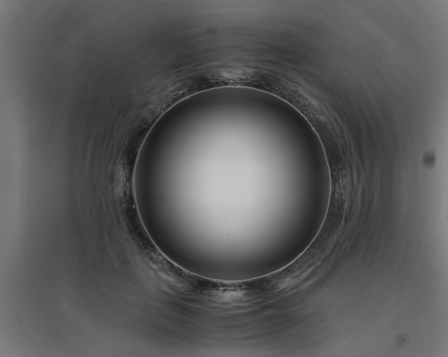 X0000094970651200712061429