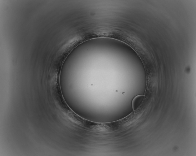 X0000094970652200712061429