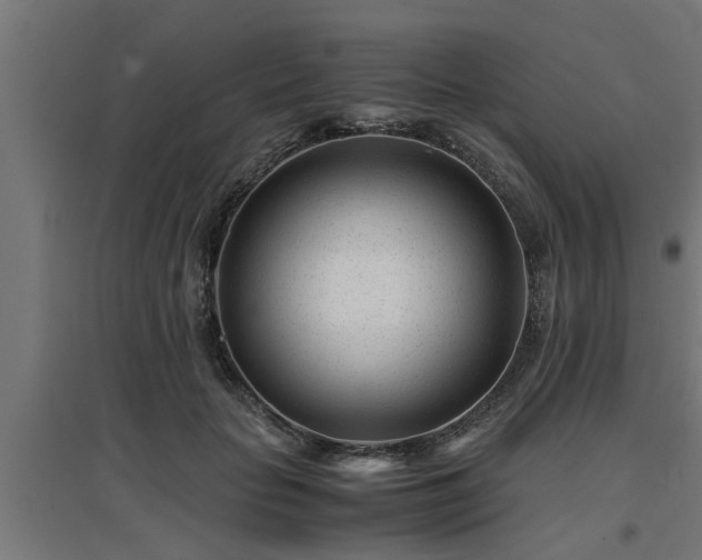 X0000094970653200712061429