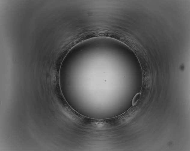 X0000094970654200712061429